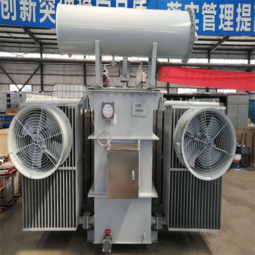 东营S22-8000KVA电力变压器